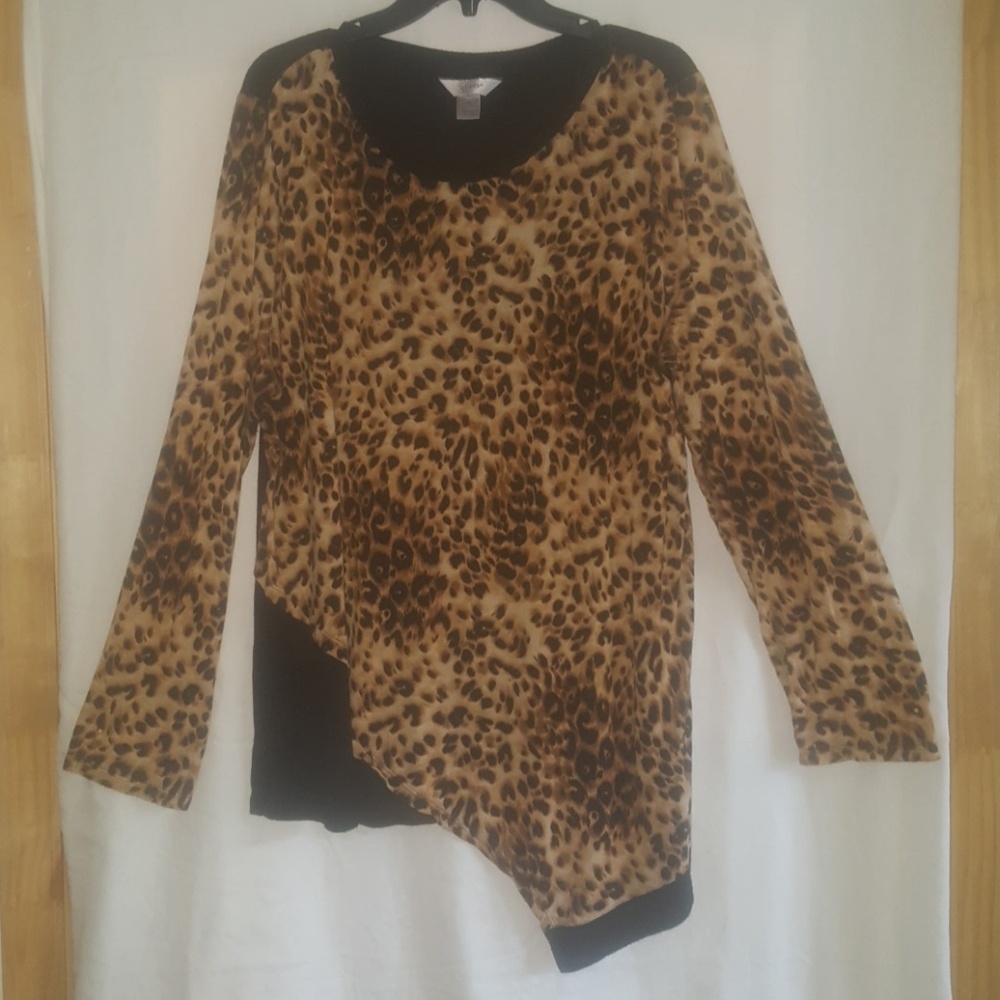 Ladies Tunic Cj banks